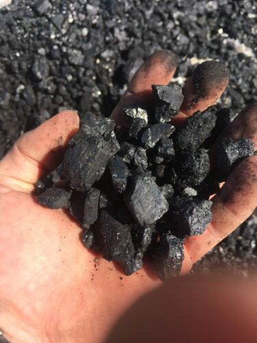 25lb box Of Blacksmithing Smithing Forge Coal